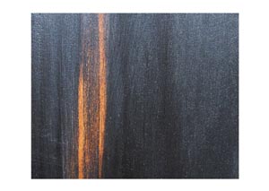 Image for Black Cheval Mirror w/Storage