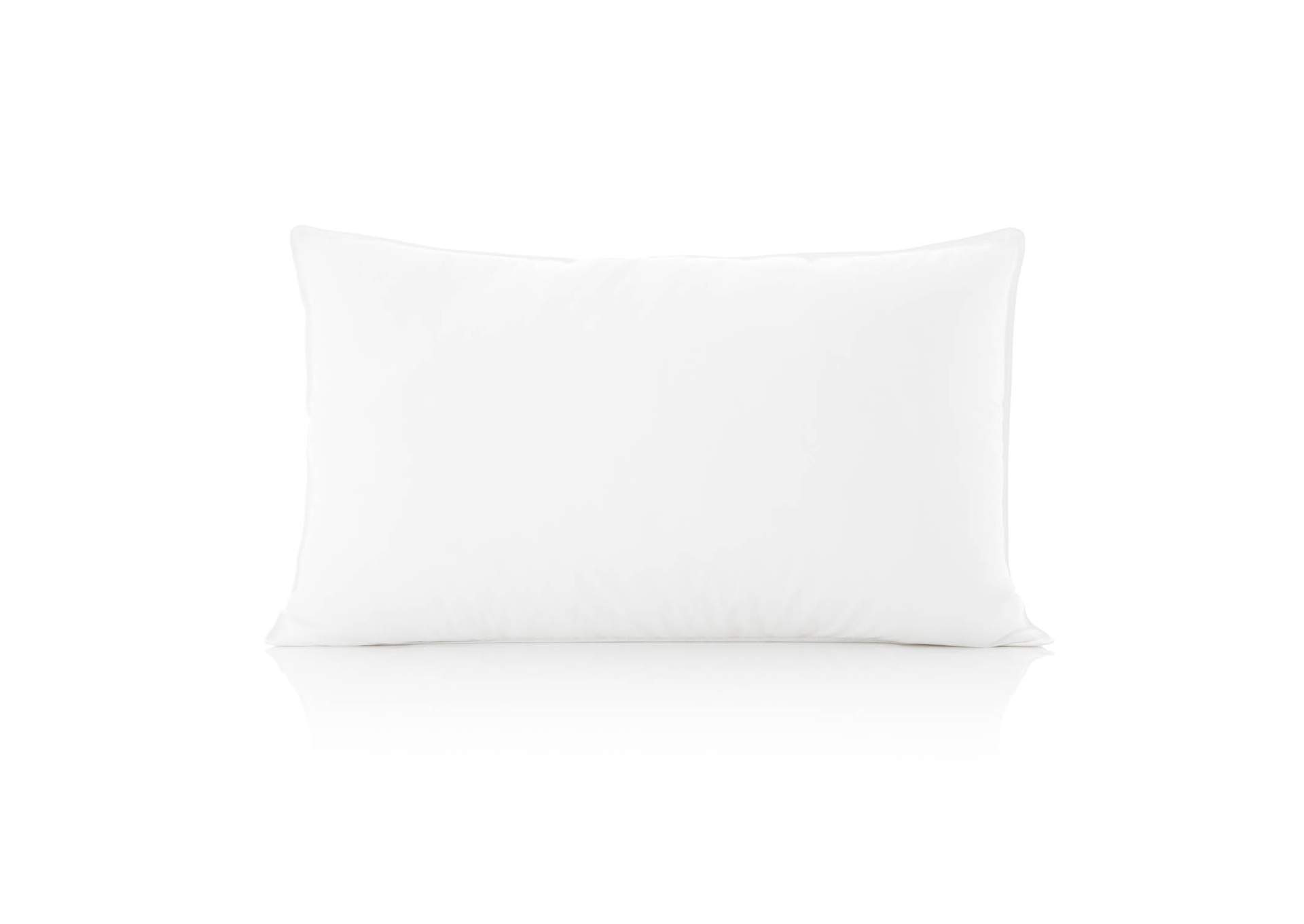 Malouf Compressed -1-Pack Pillow - King Size,Malouf