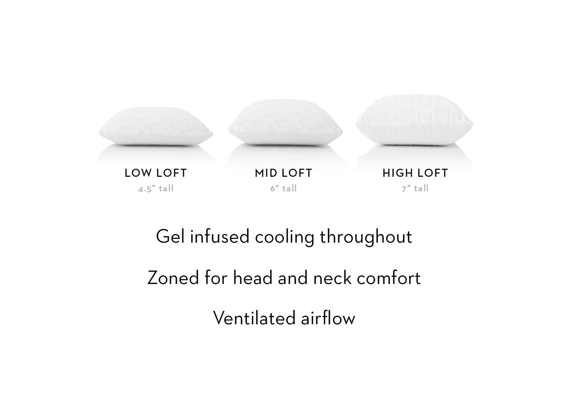 Zoned Gel Dough,Malouf