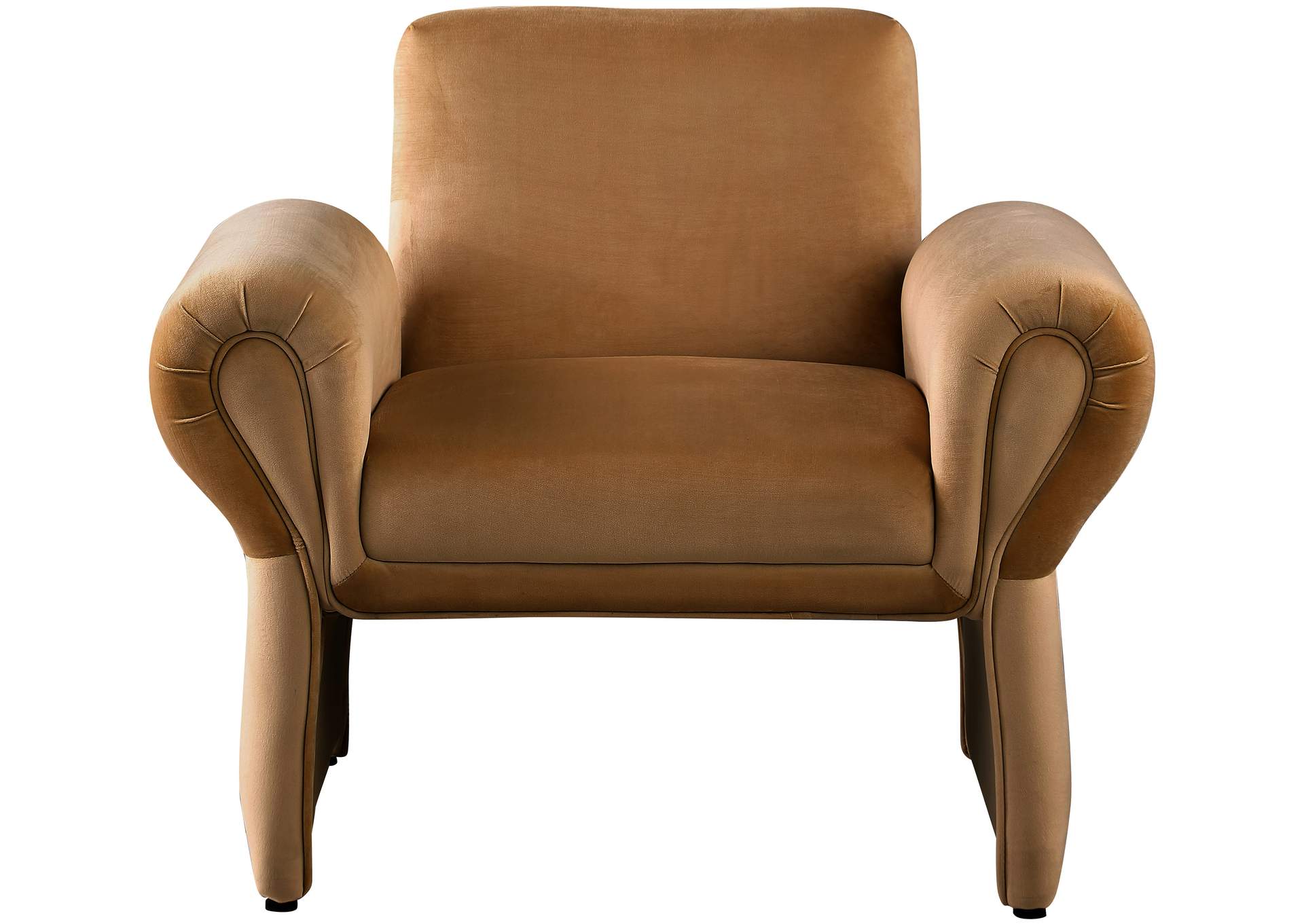 Fleurette Saddle Velvet Accent Chair,Meridian Furniture
