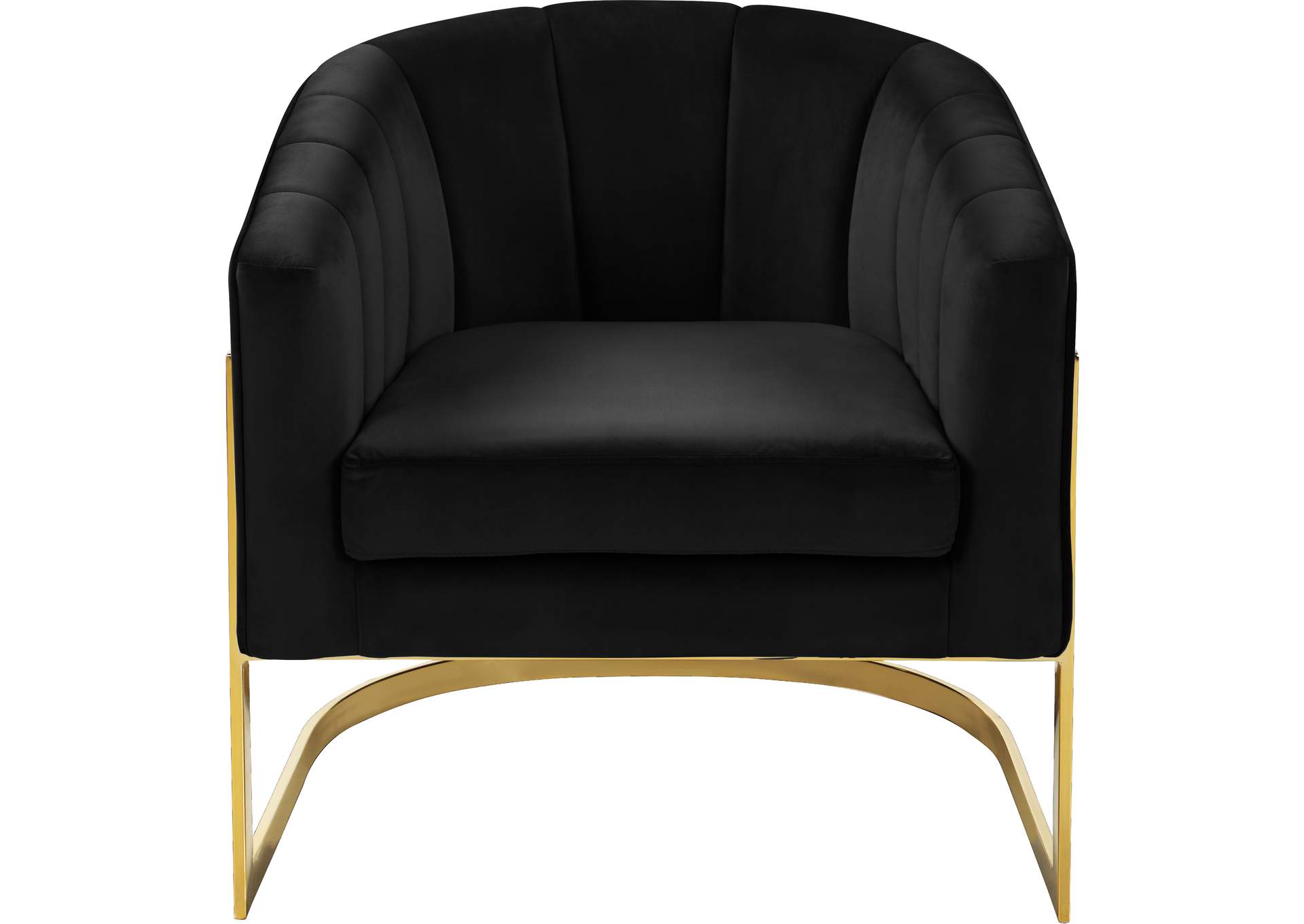 Carter Black Velvet Accent Chair,Meridian Furniture