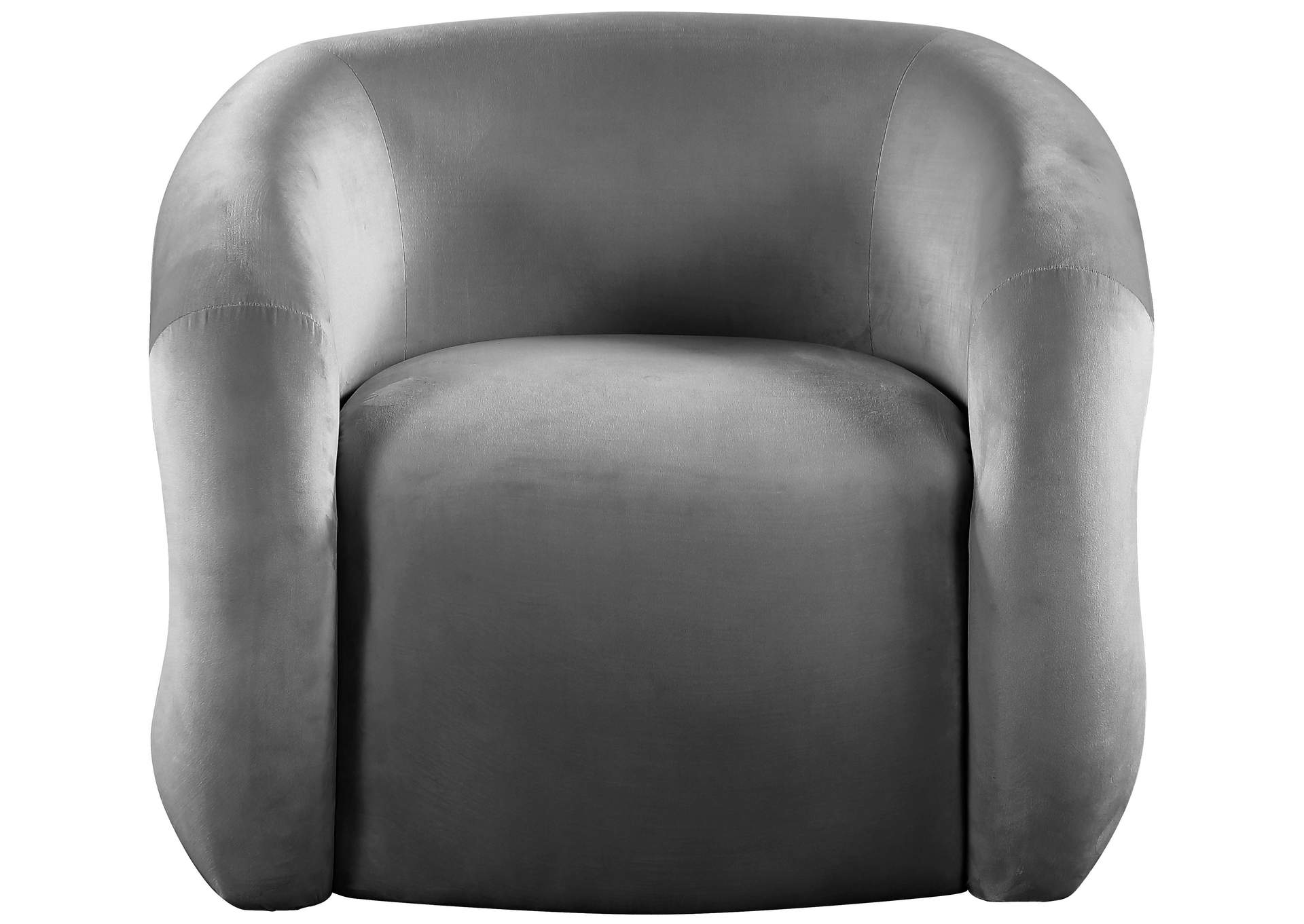 Roxbury Grey Velvet Accent Chair,Meridian Furniture