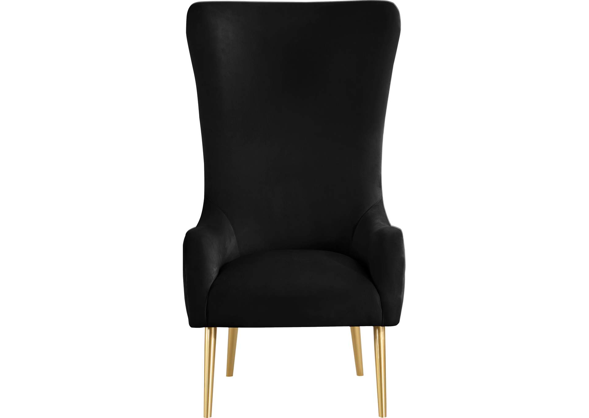 Alexander Black Velvet Accent Chair,Meridian Furniture