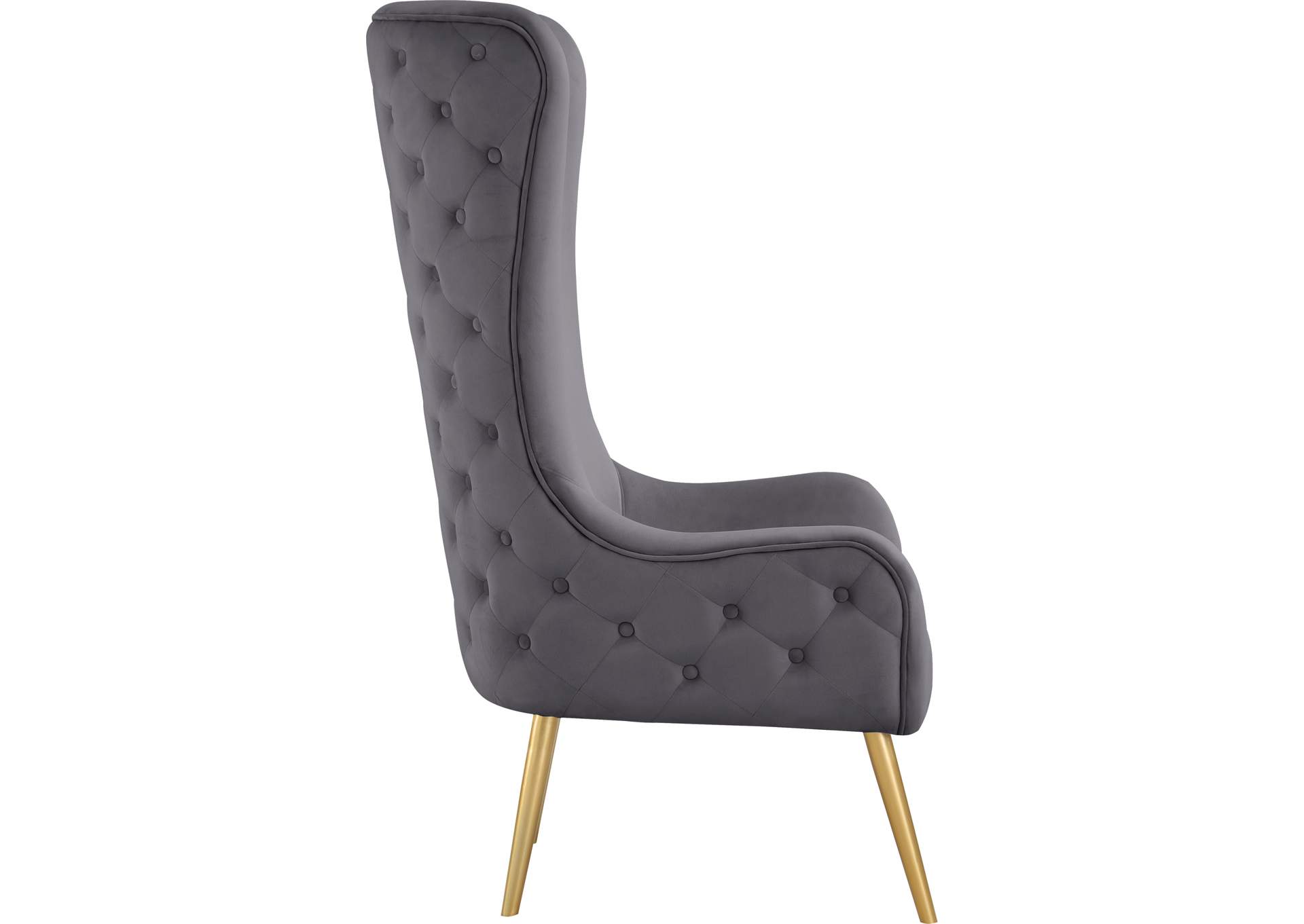 Alexander Grey Velvet Accent Chair,Meridian Furniture