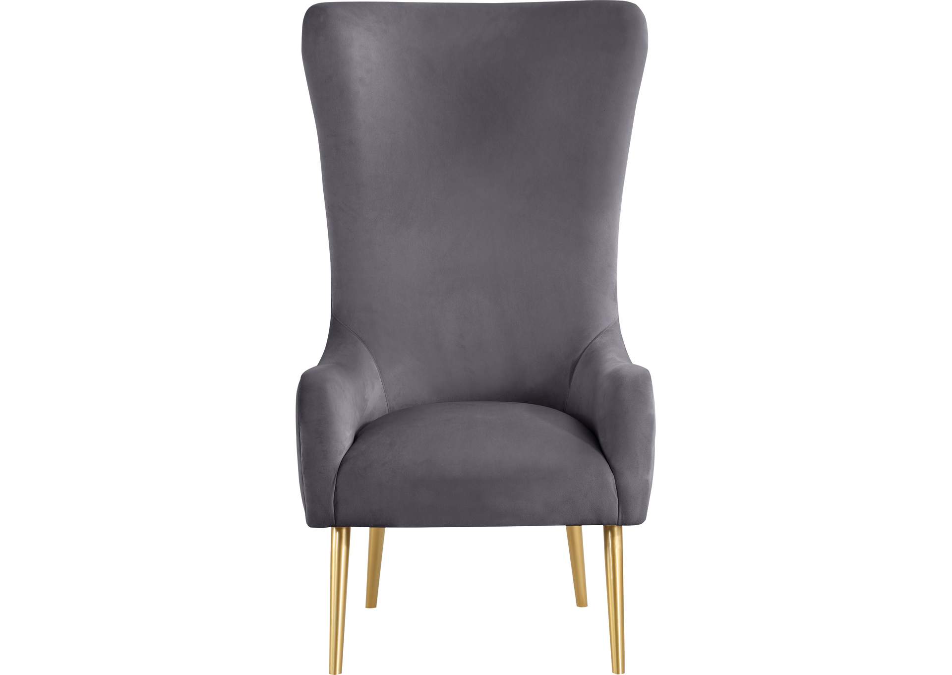 Alexander Grey Velvet Accent Chair,Meridian Furniture