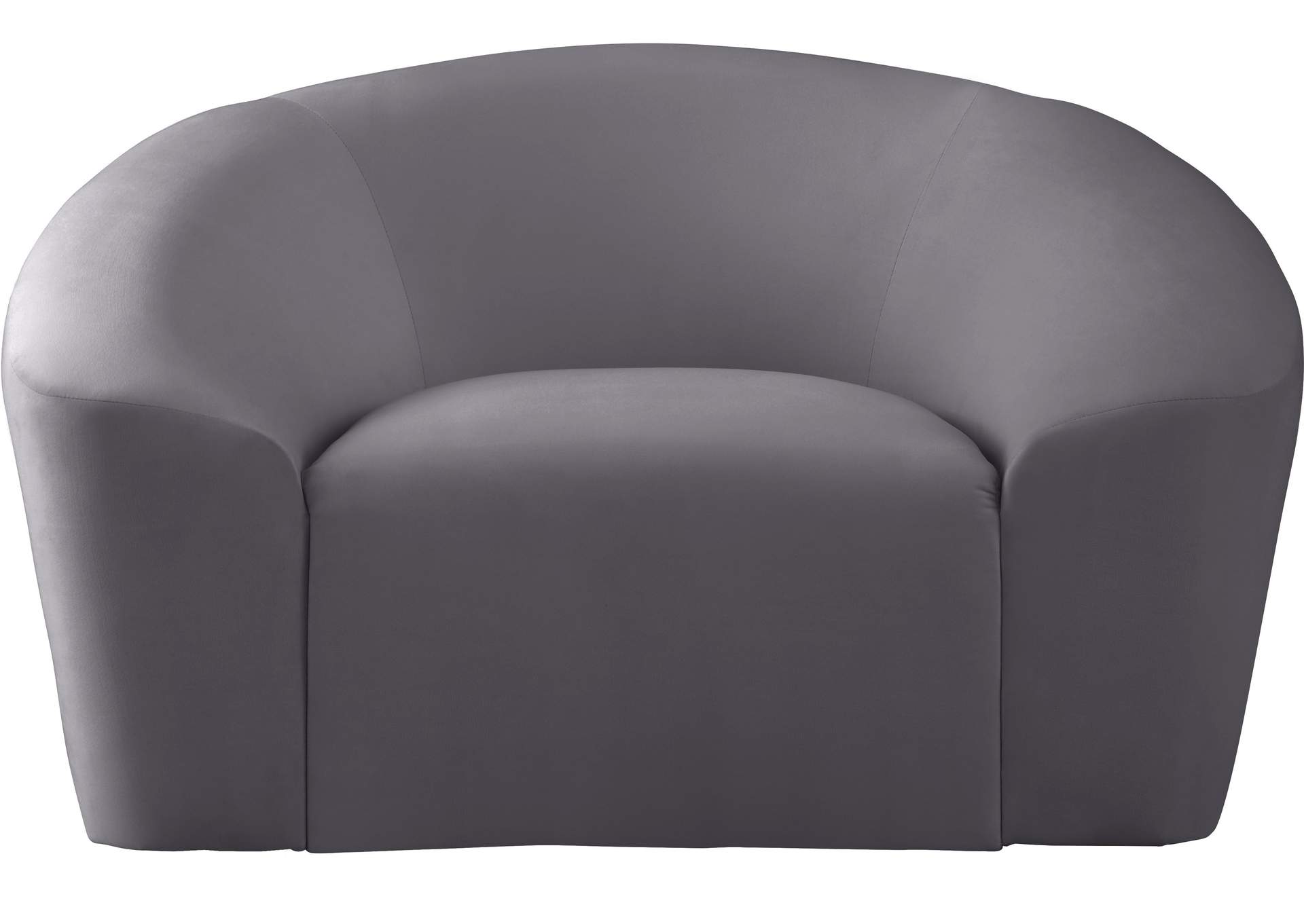 Riley Grey Velvet Chair,Meridian Furniture