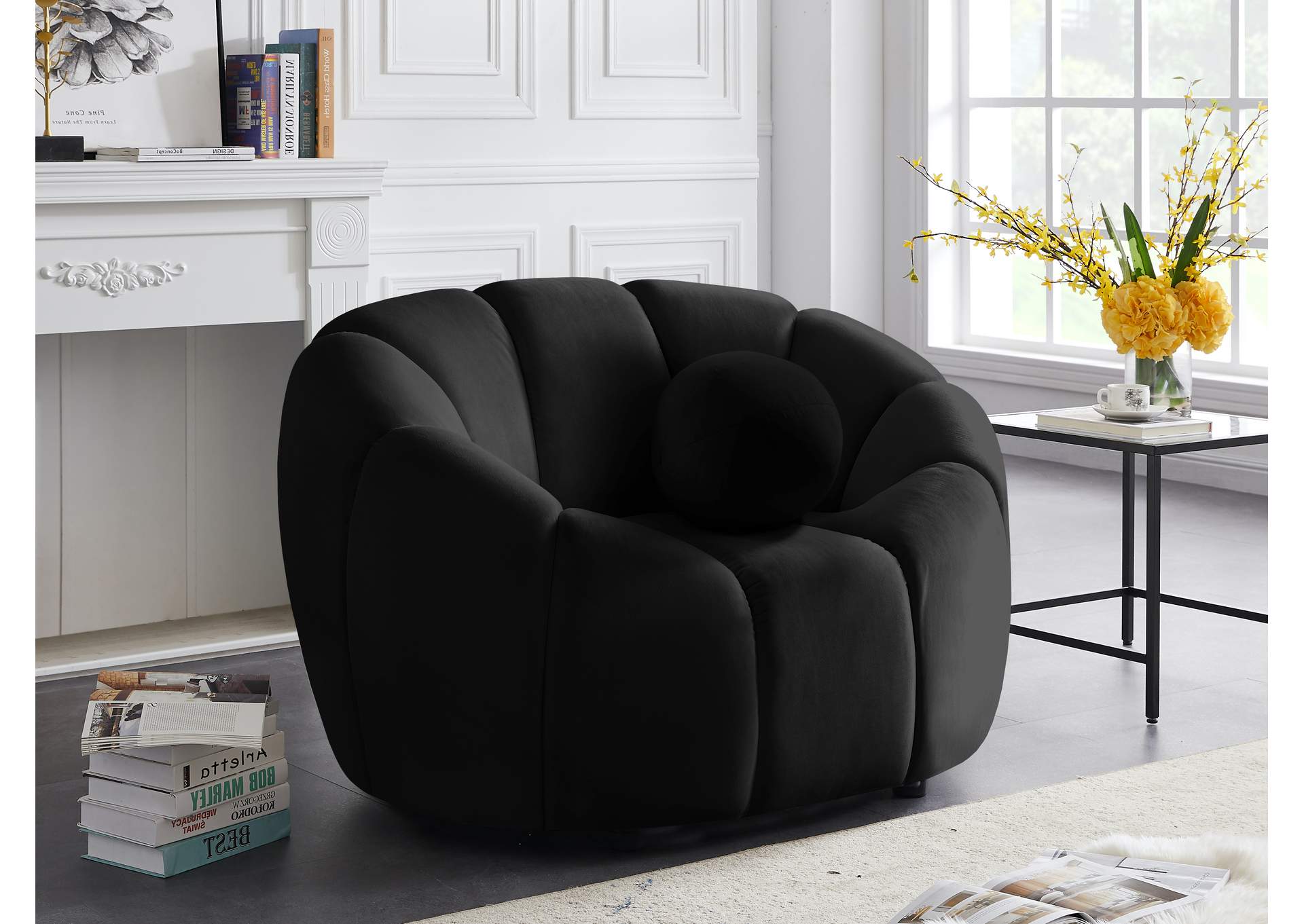 Elijah Black Velvet Chair,Meridian Furniture