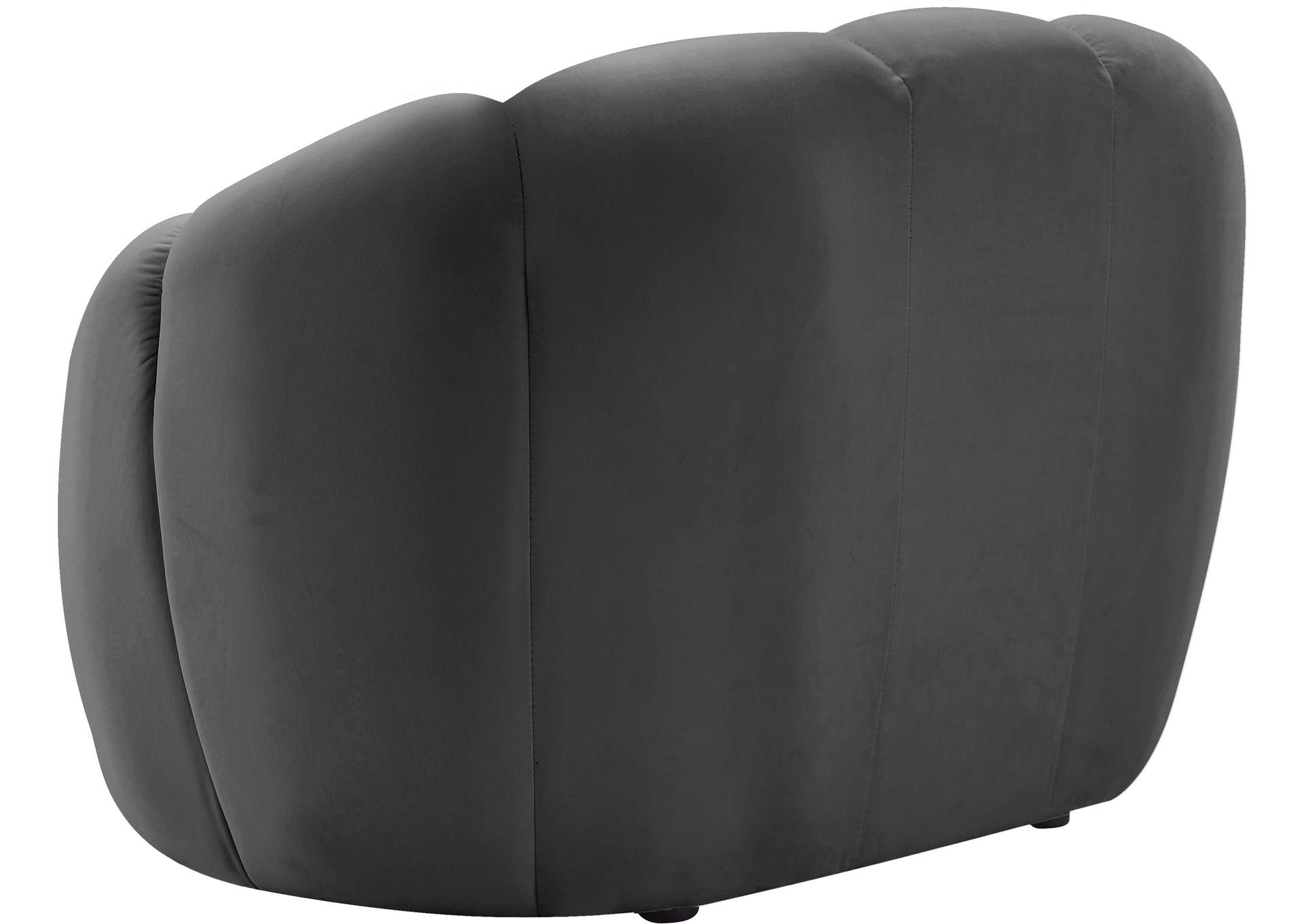 Elijah Grey Velvet Chair,Meridian Furniture