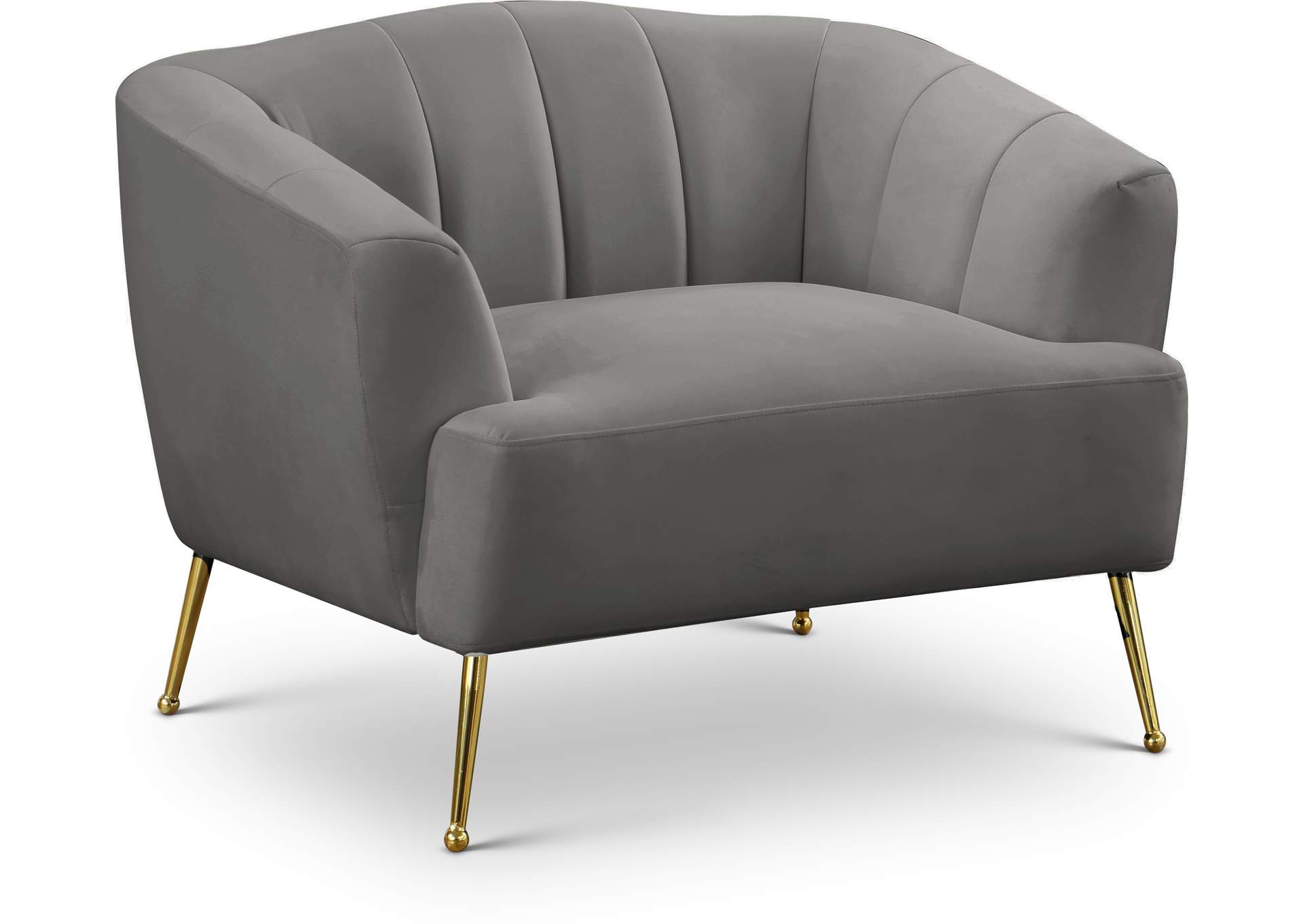 Tori Grey Velvet Chair,Meridian Furniture