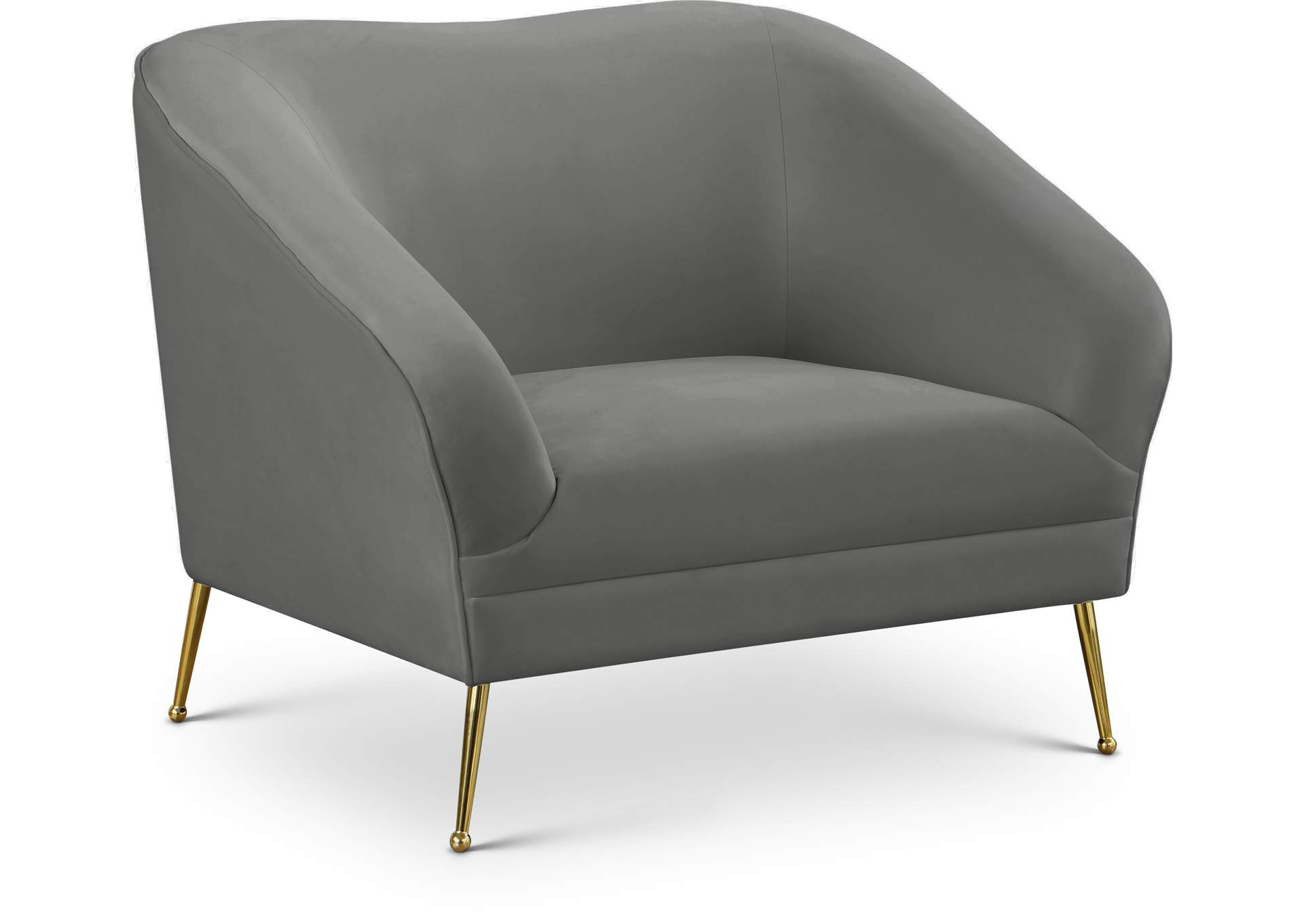 Hermosa Grey Velvet Chair,Meridian Furniture