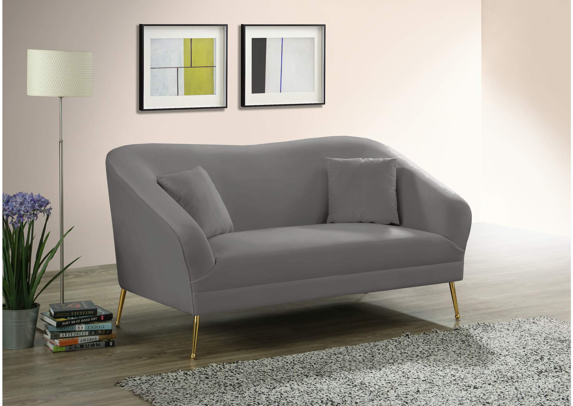 Hermosa Grey Velvet Loveseat,Meridian Furniture