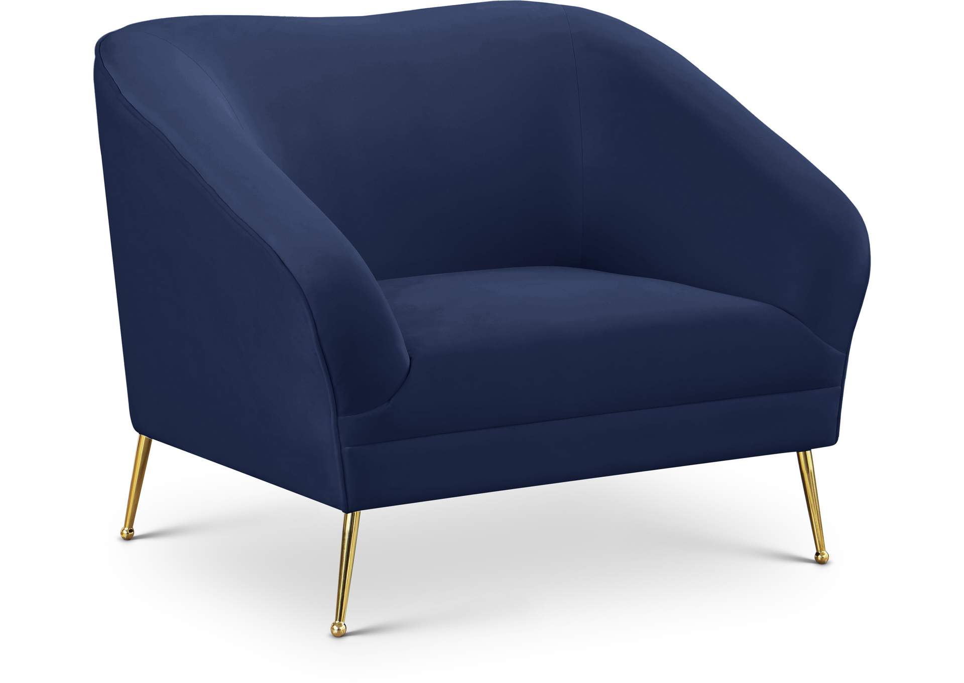 Hermosa Navy Velvet Chair,Meridian Furniture