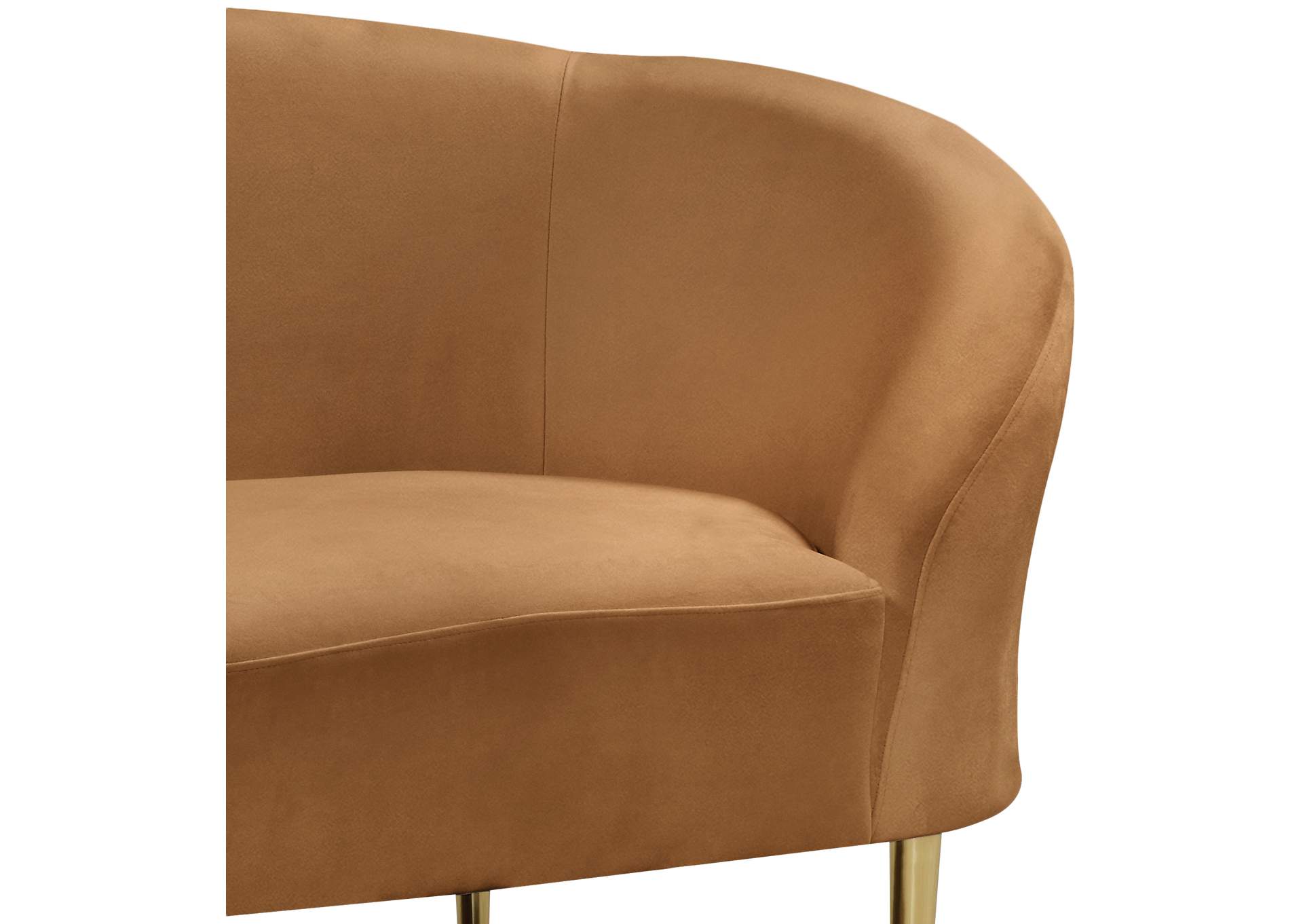 Ritz Saddle Velvet Chair,Meridian Furniture