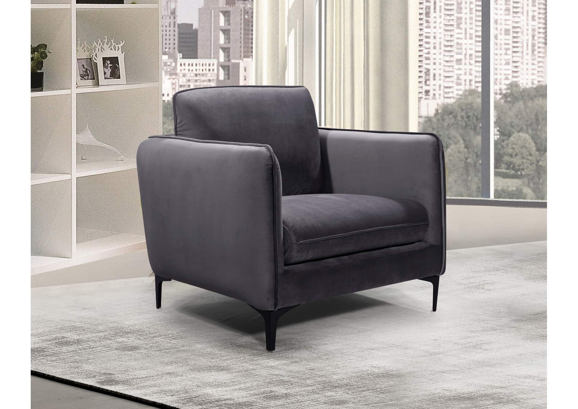 Poppy Grey Velvet Chair,Meridian Furniture