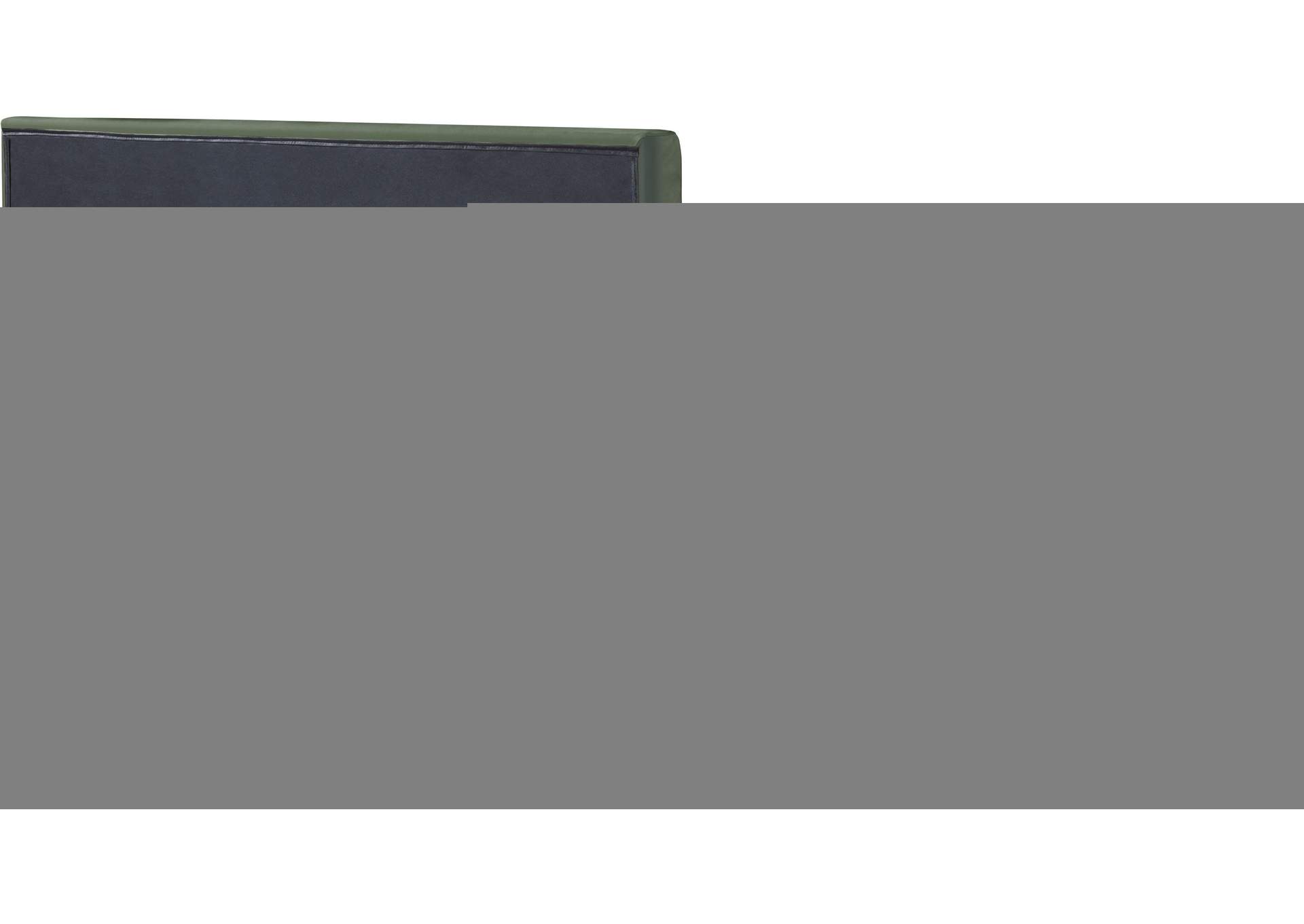 Gallo Green Faux Leather Queen Bed,Meridian Furniture