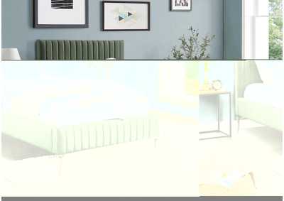 Thumb Image2