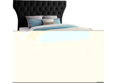 Image for Kira Black Velvet Queen Bed