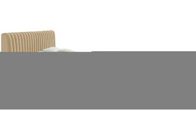 Thumb Image5