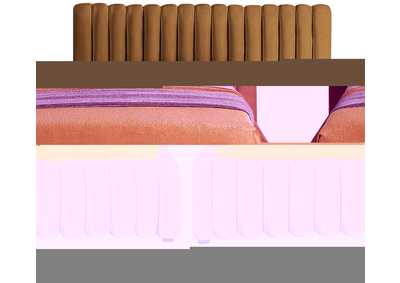 Thumb Image3