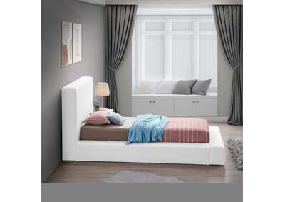 Thumb Image5
