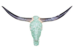 Image for Aqua Jeweled Head