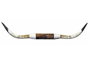 Image for Bull Horns 5-6 Feet