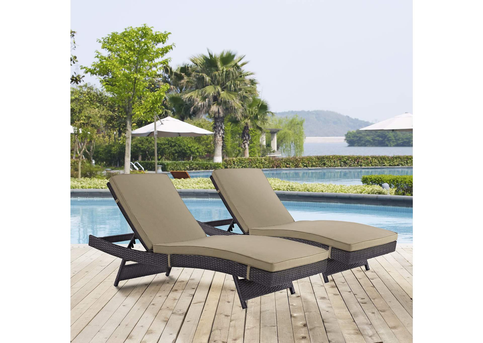 Espresso Mocha Convene Chaise Outdoor Patio [Set of 2],Modway