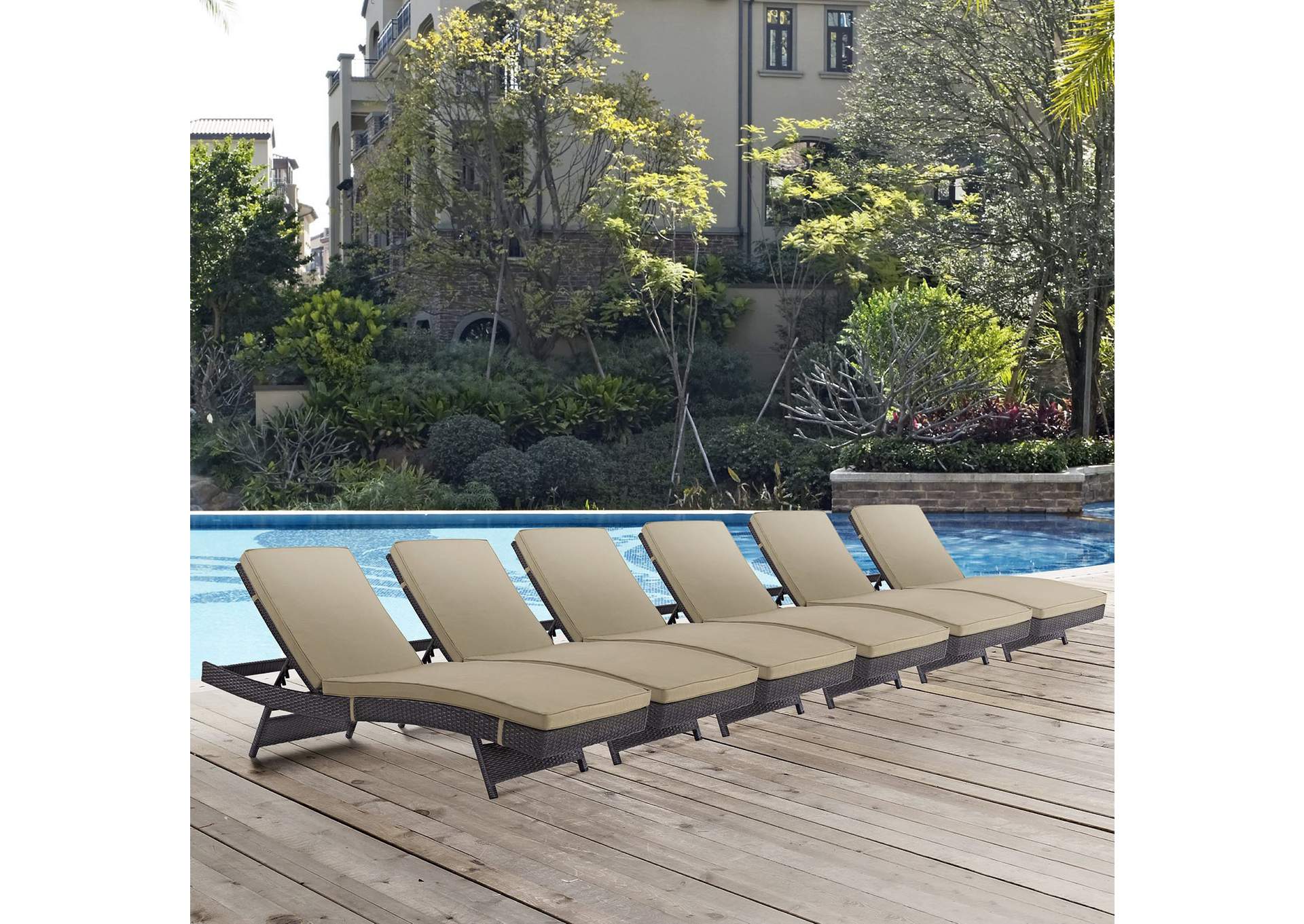 Espresso Mocha Convene Chaise Outdoor Patio [Set of 6],Modway