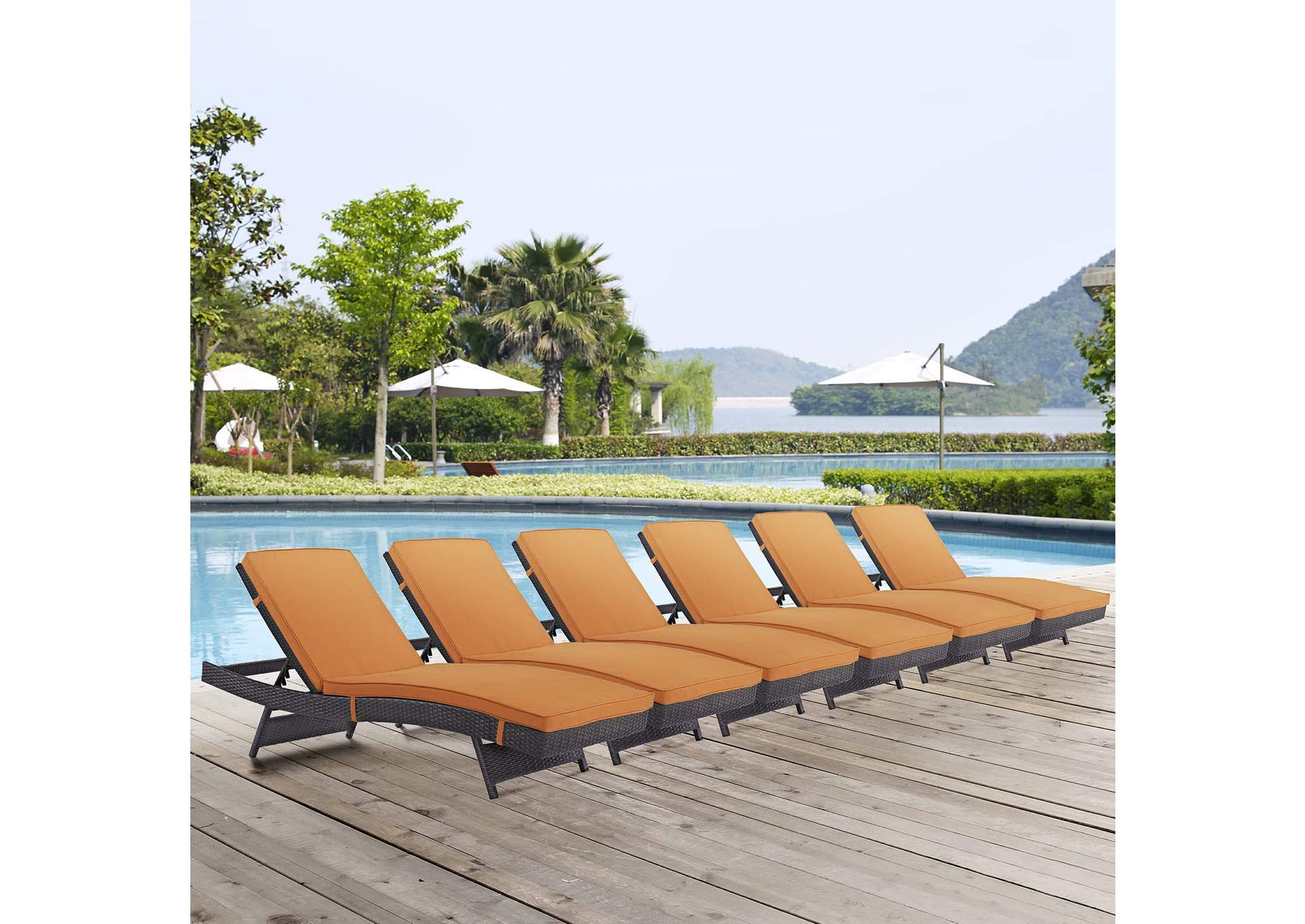 Espresso Orange Convene Chaise Outdoor Patio [Set of 6],Modway