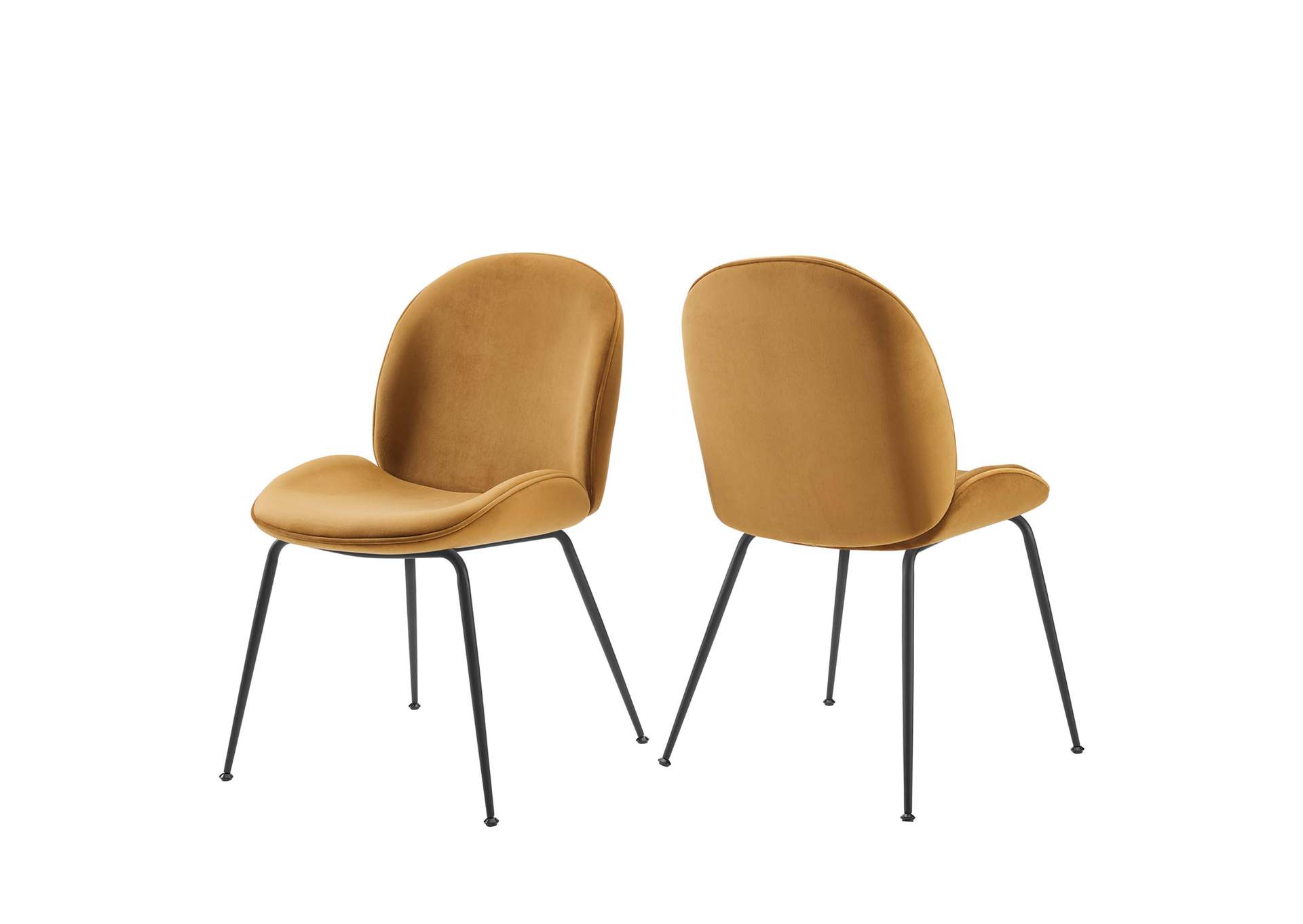 Cognac Scoop Black Powder Coated Steel Leg Performance Velvet Dining Chairs - [Set of 2],Modway