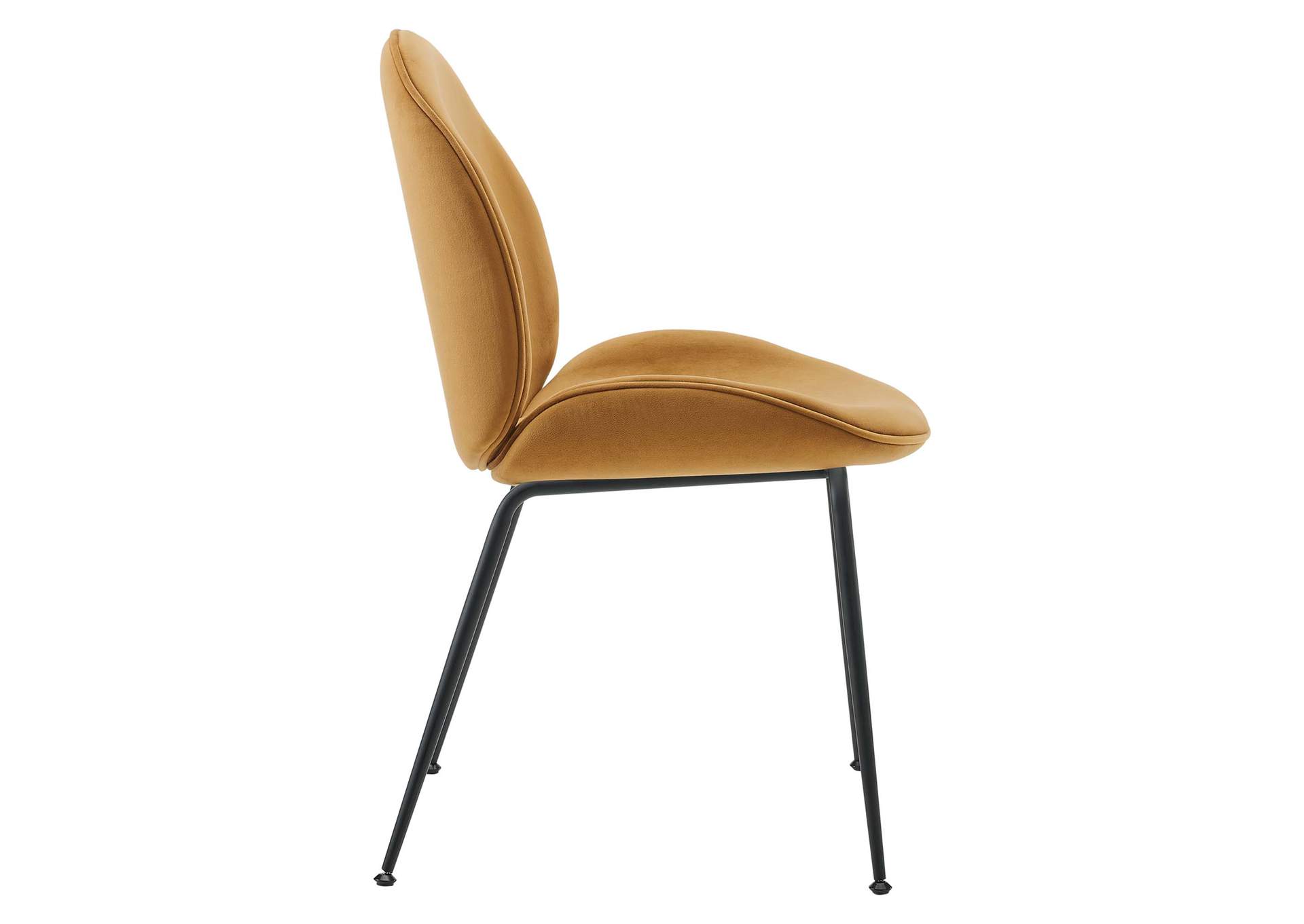 Cognac Scoop Black Powder Coated Steel Leg Performance Velvet Dining Chairs - [Set of 2],Modway