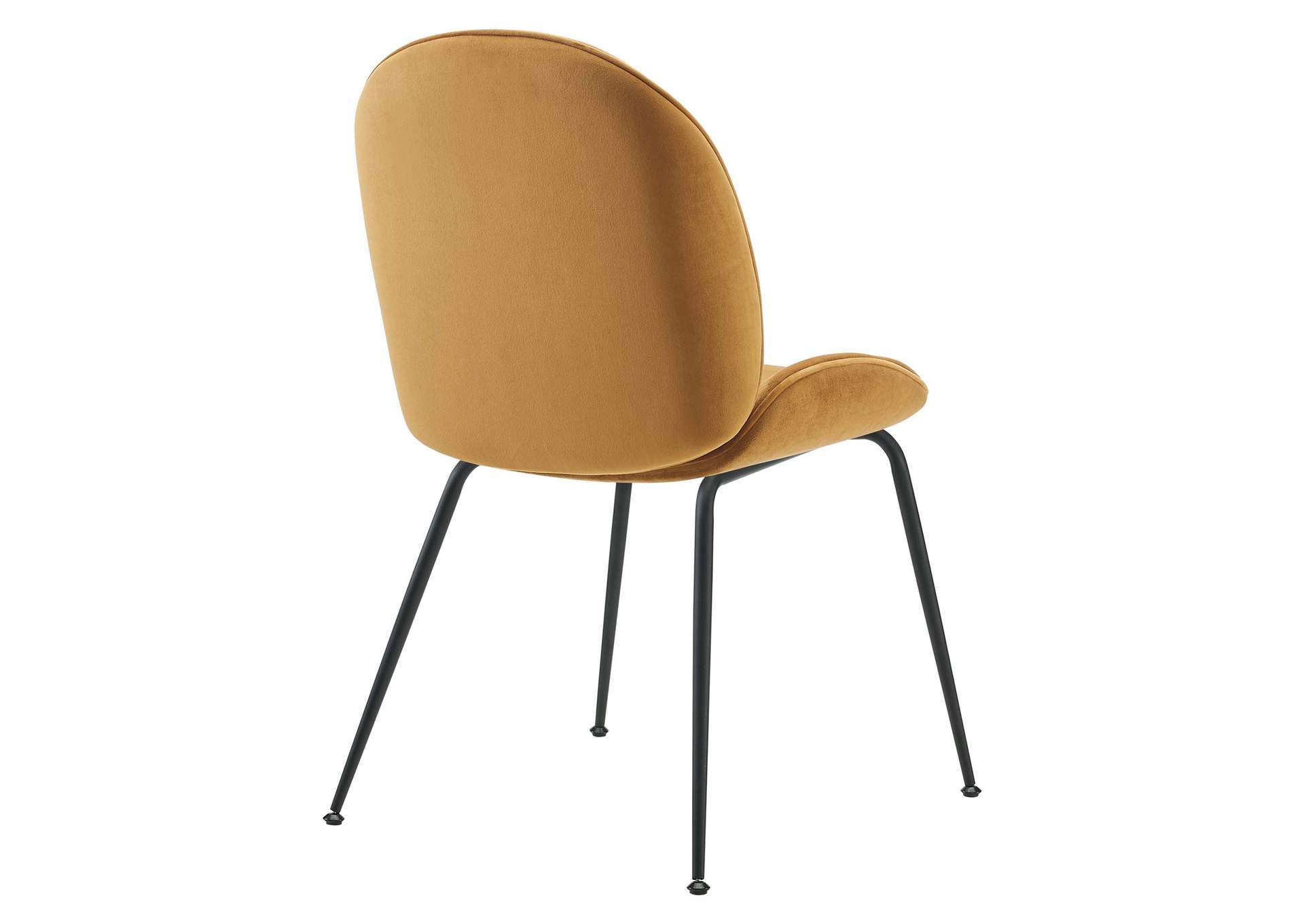 Cognac Scoop Black Powder Coated Steel Leg Performance Velvet Dining Chairs - [Set of 2],Modway