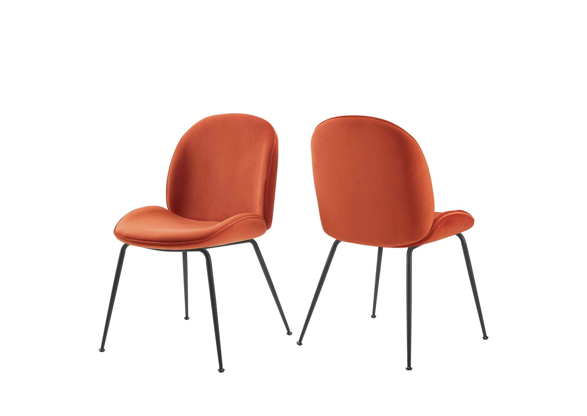 Orange Scoop Black Powder Coated Steel Leg Performance Velvet Dining Chairs - [Set of 2],Modway