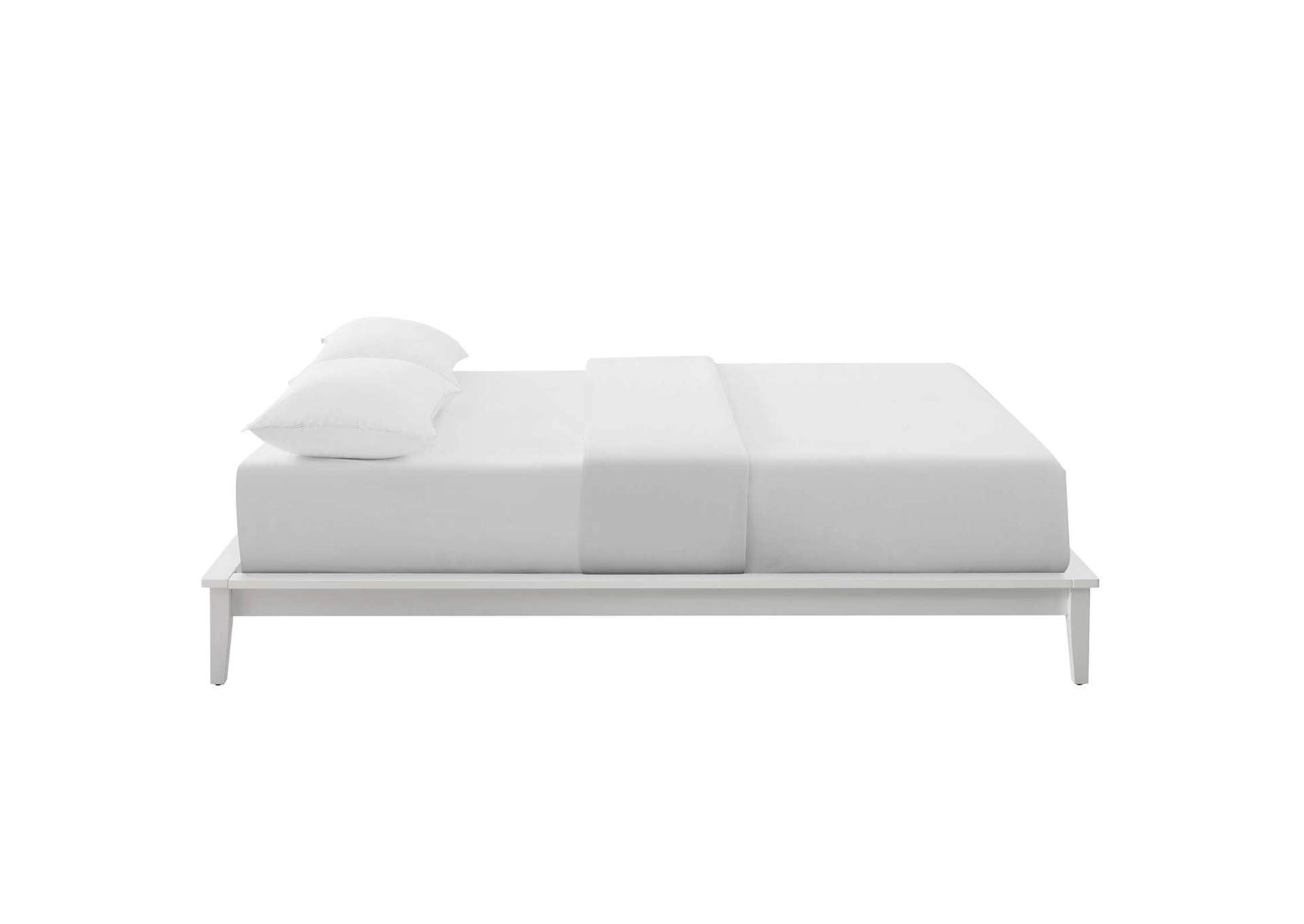 White Lodge Queen Wood Platform Bed Frame,Modway