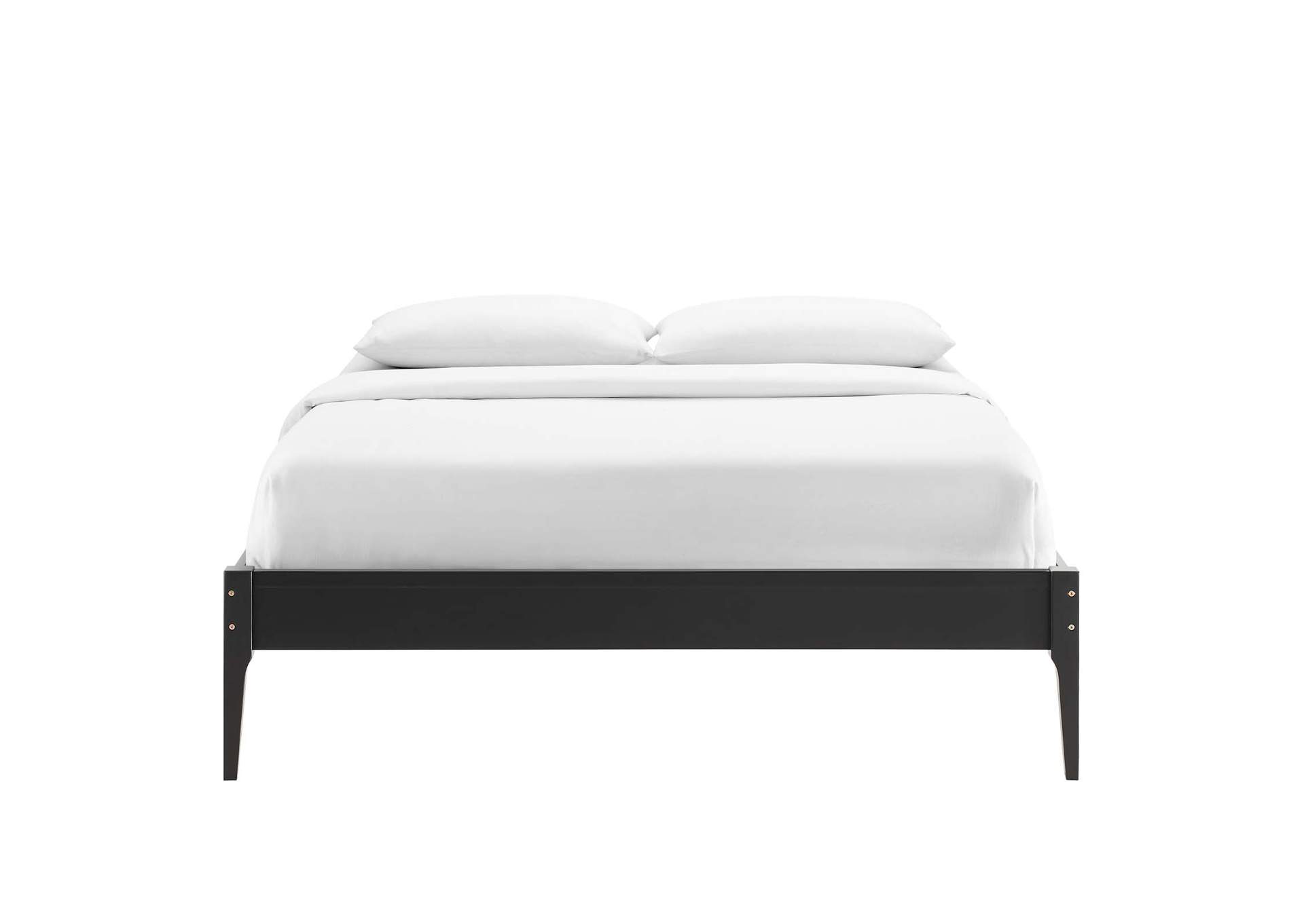 Black June Twin Wood Platform Bed Frame,Modway