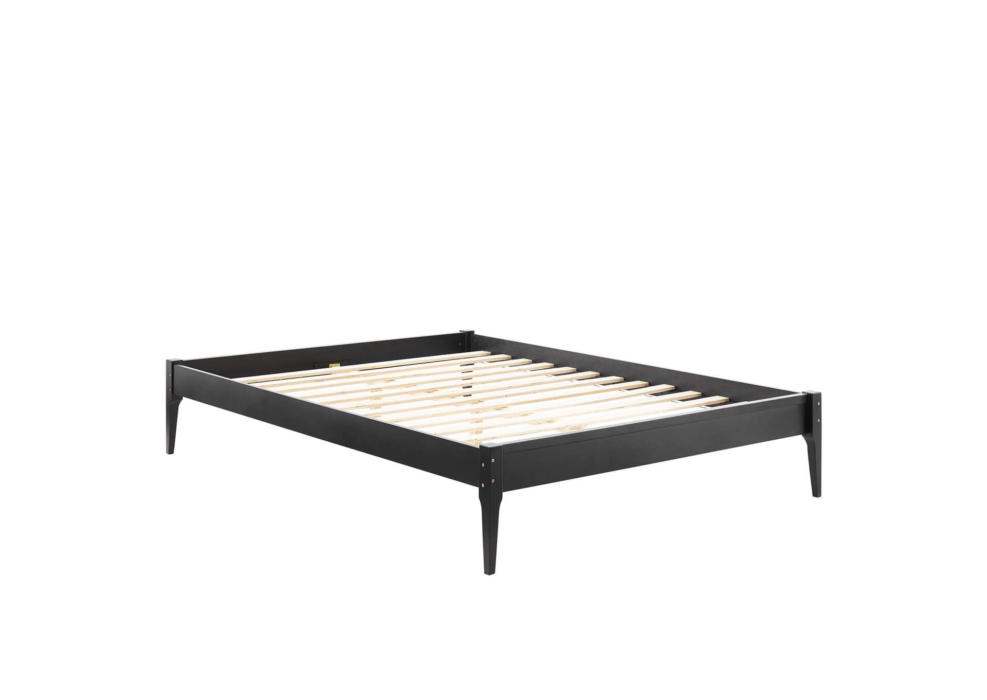 Black June Queen Wood Platform Bed Frame,Modway