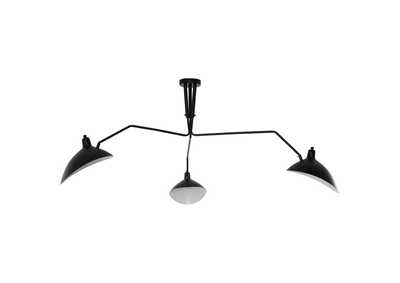 Image for Black View Ceiling Fixture