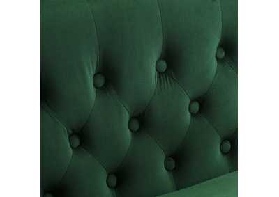 Thumb Image4