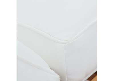 Thumb Image8