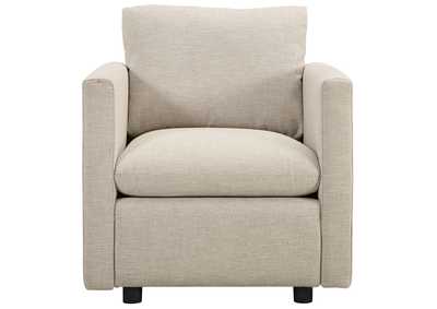 Thumb Image3