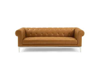Thumb Image3