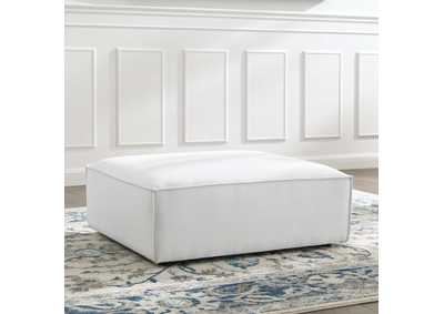 Thumb Image6