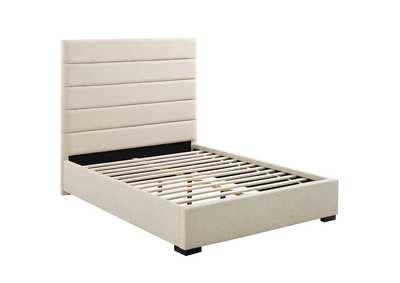 Thumb Image1