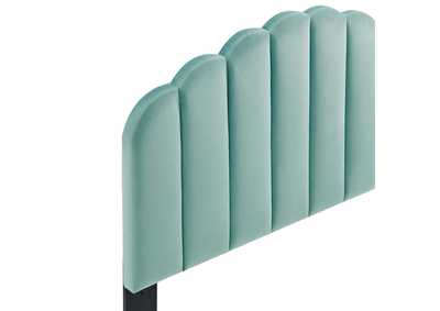 Thumb Image1