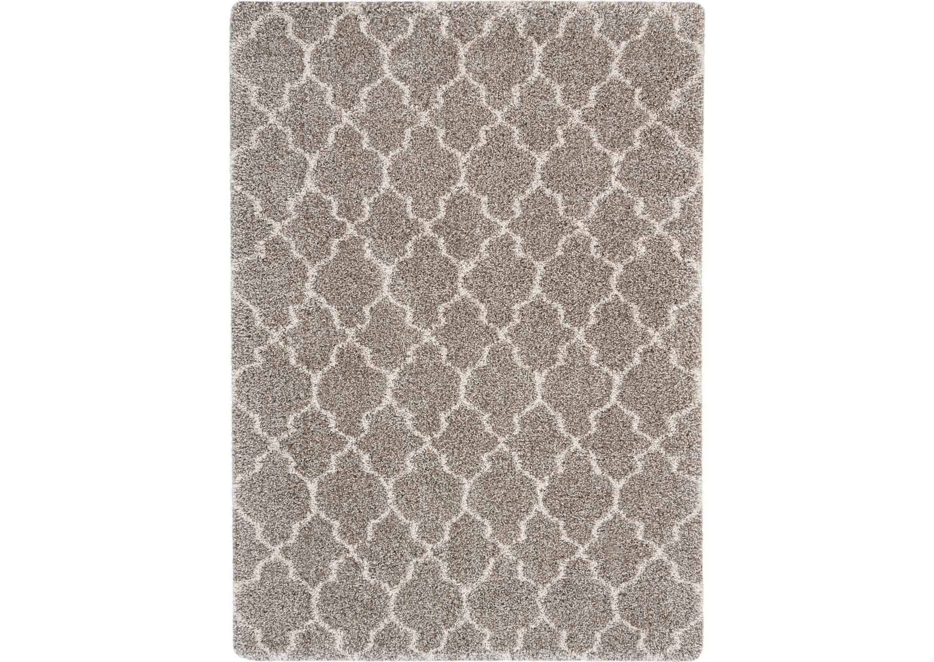 Nourison Amore AMOR2 Beige 5'x8' Area Rug,Nourison