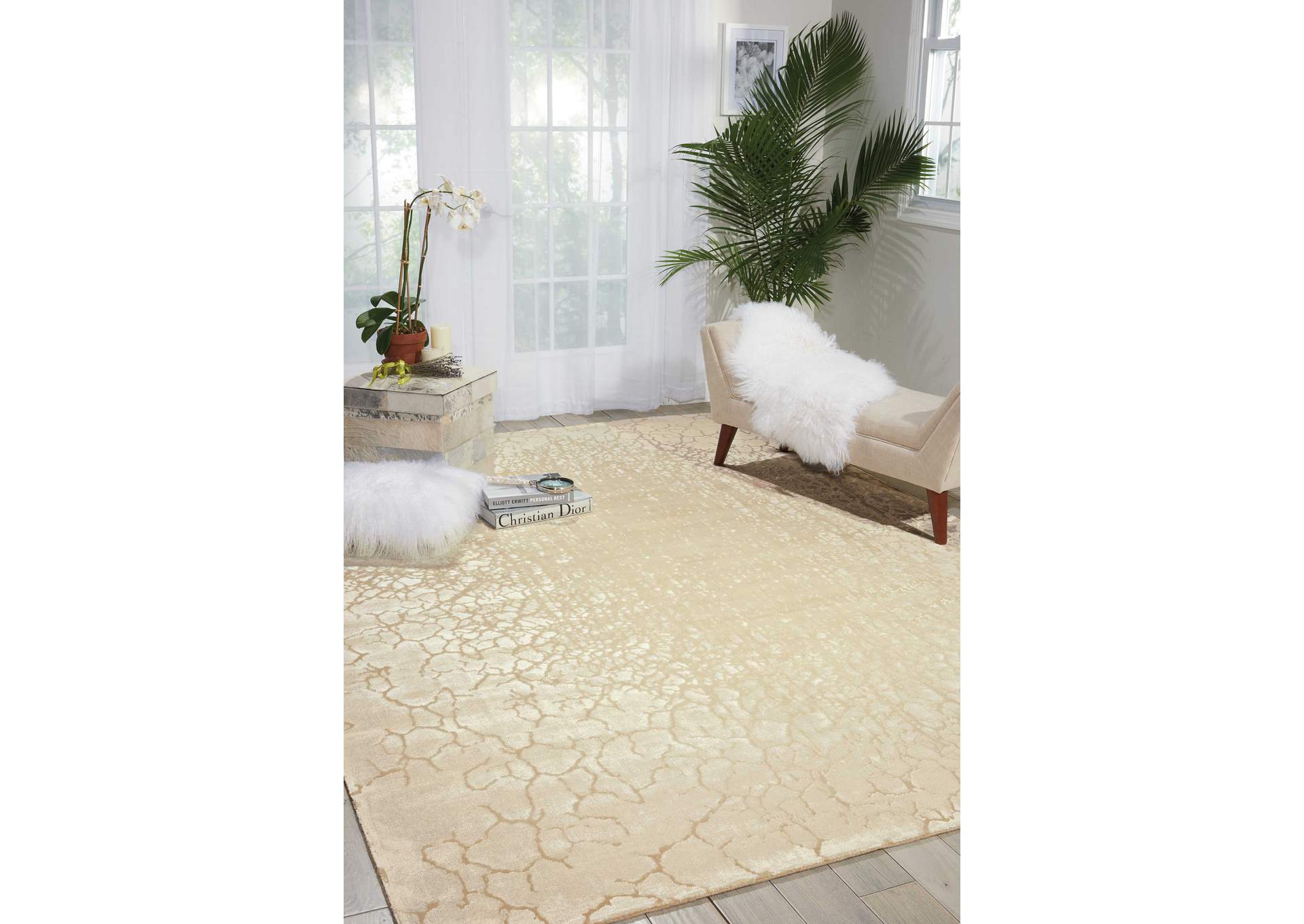 Nourison Luminance LUM12 Beige 4'x6' Area Rug,Nourison