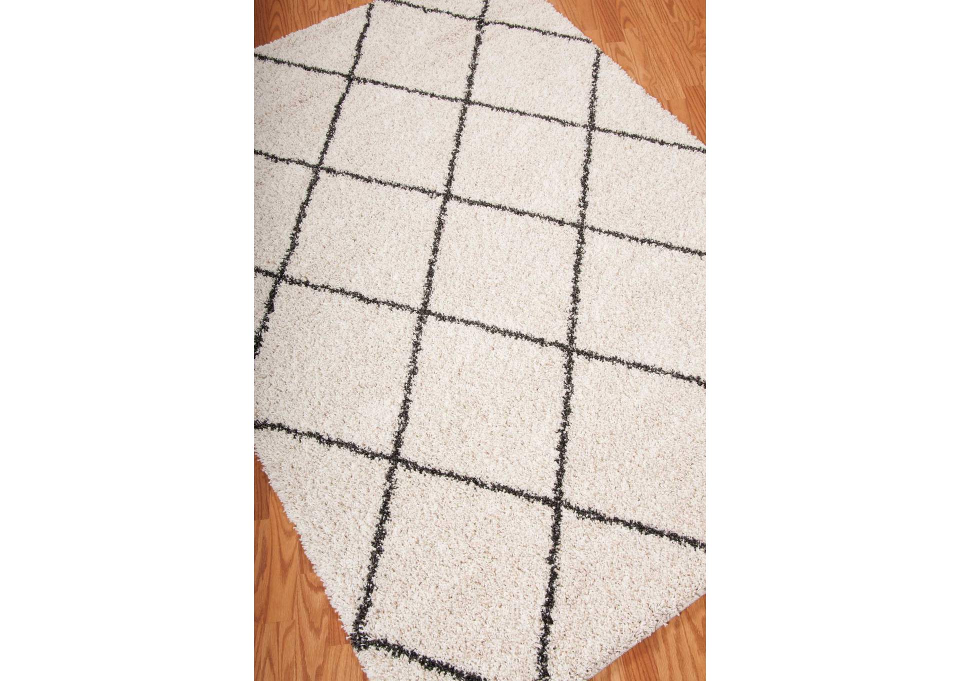 Nourison Brisbane BRI03 White and Black 8'x10' Rug,Nourison