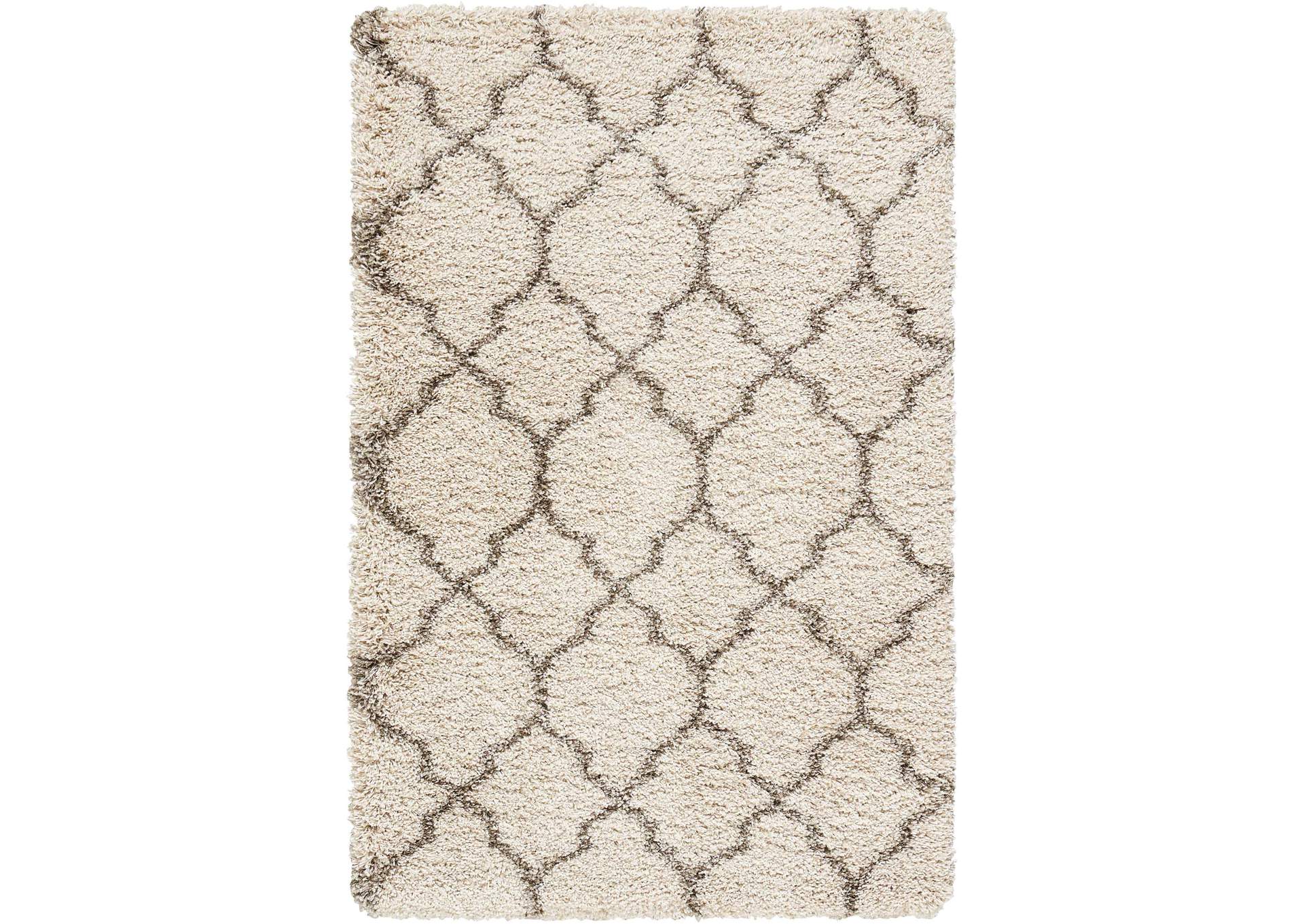 Nourison Amore AMOR2 Beige 3'x5' Area Rug,Nourison