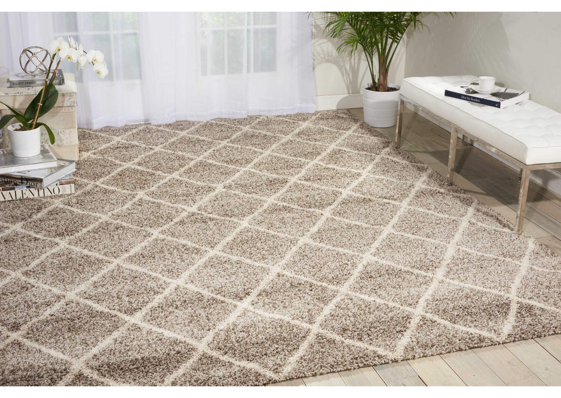 Nourison Brisbane BRI08 Beige 5'x7' Area Rug,Nourison