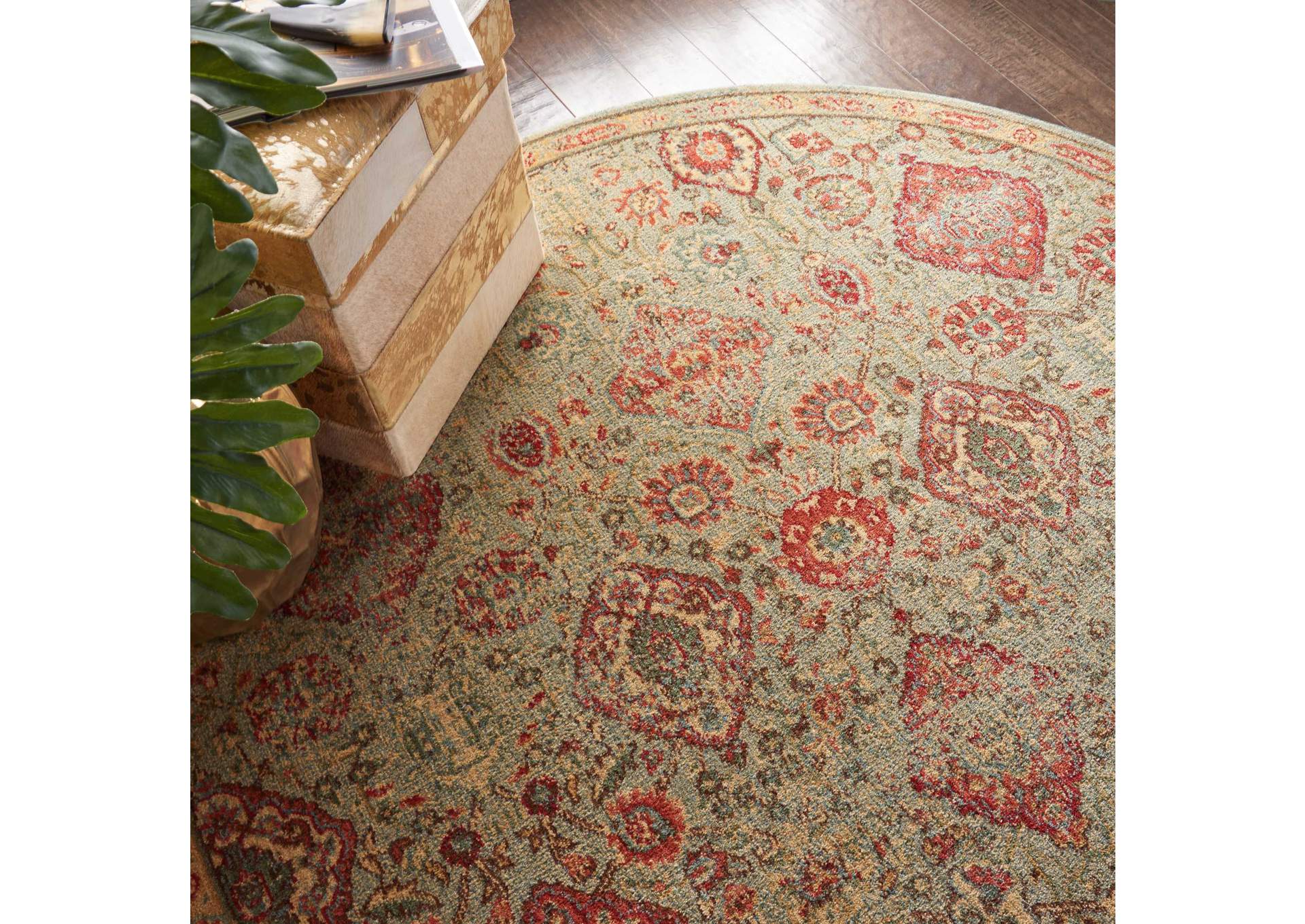 Nourison Somerset ST90 Light Green 6' Round Oriental Area Rug,Nourison